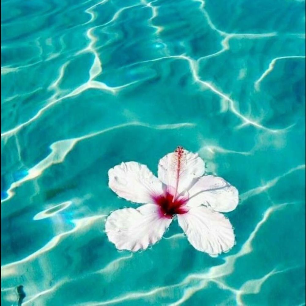 Meet your Posher, Pammella